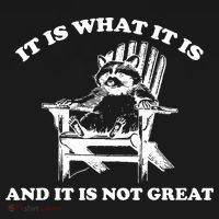 Raccoon It Is What It Is And It Is Not Great Backpack thumb 2
