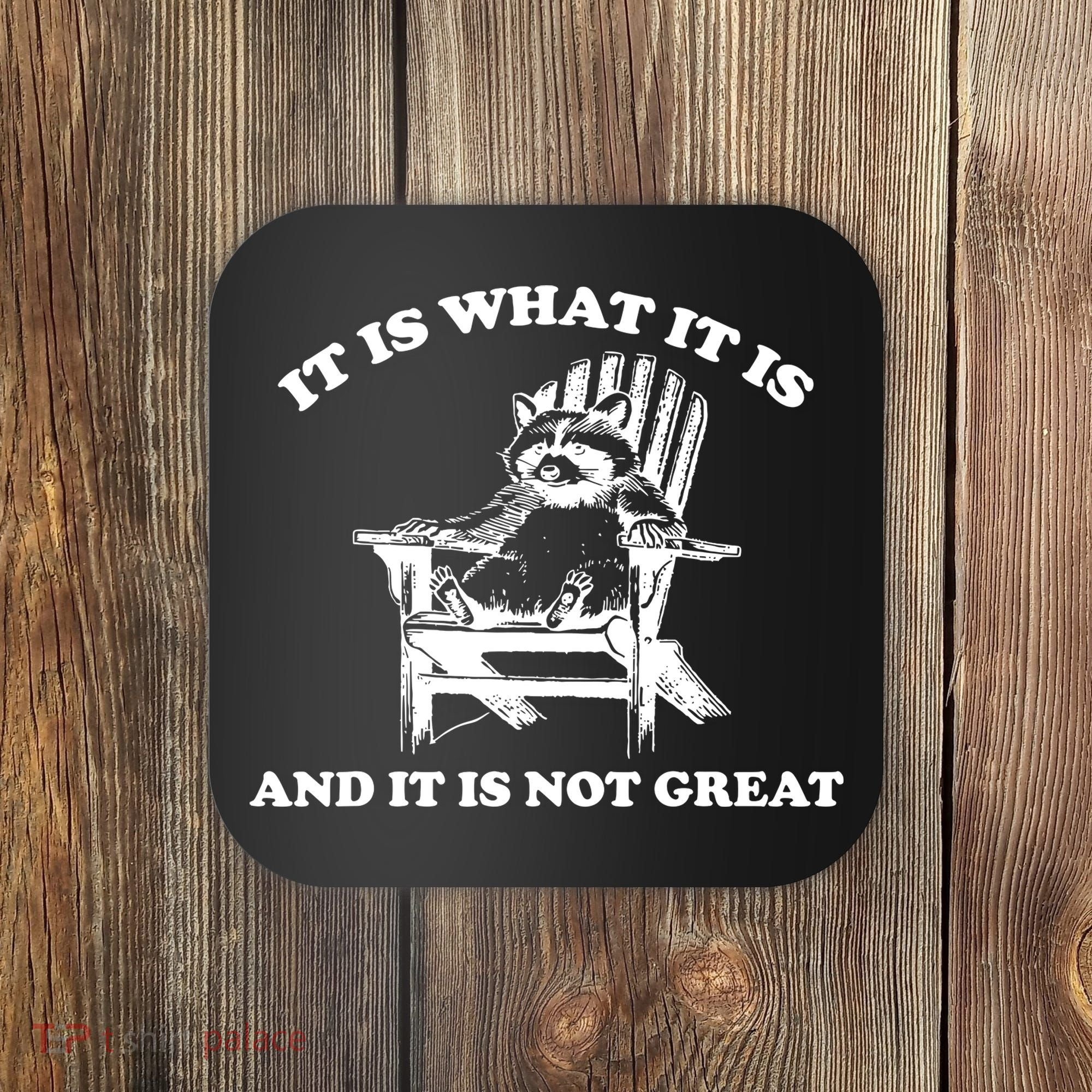 Raccoon It Is What It Is And It Is Not Great Coaster