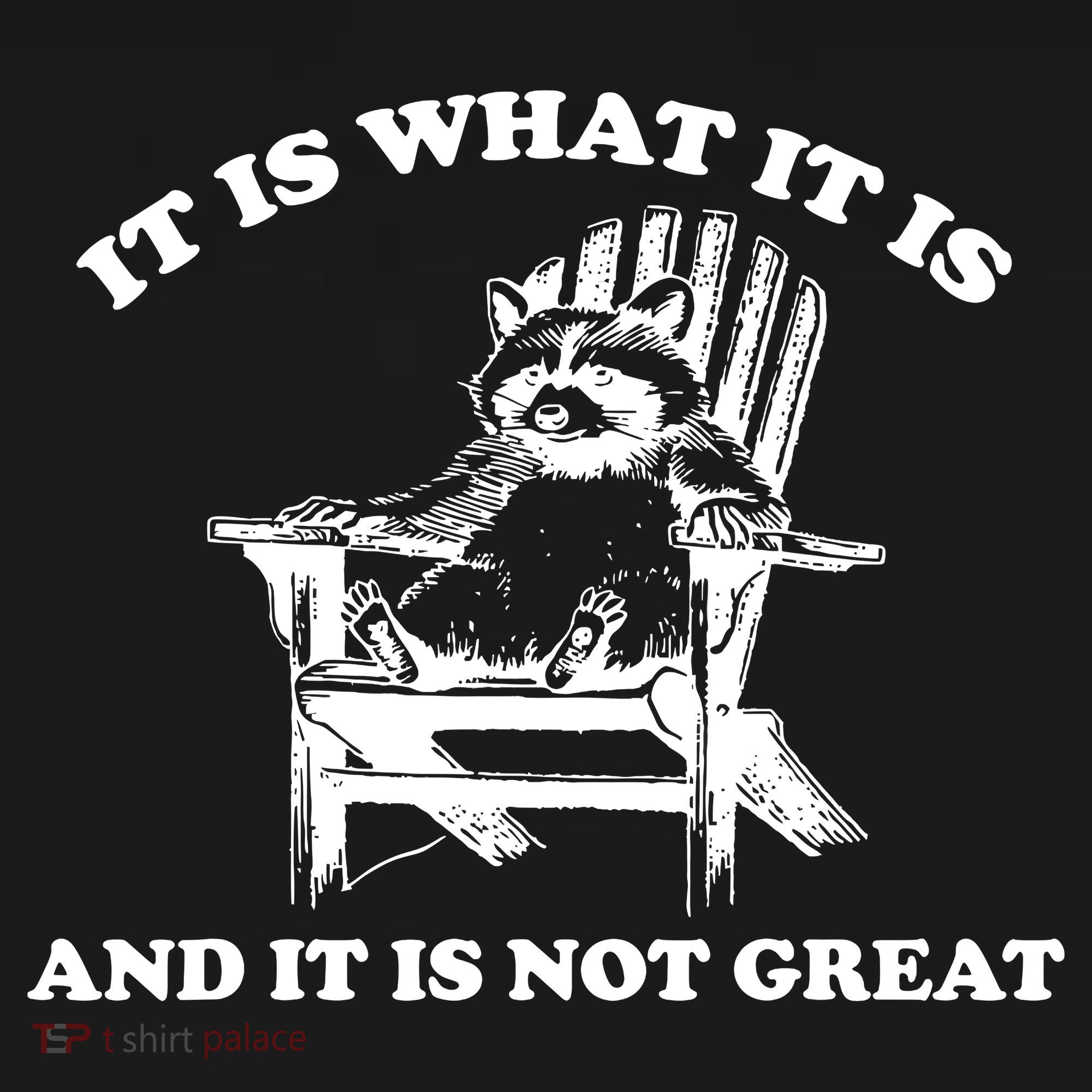 Raccoon It Is What It Is And It Is Not Great Coaster
