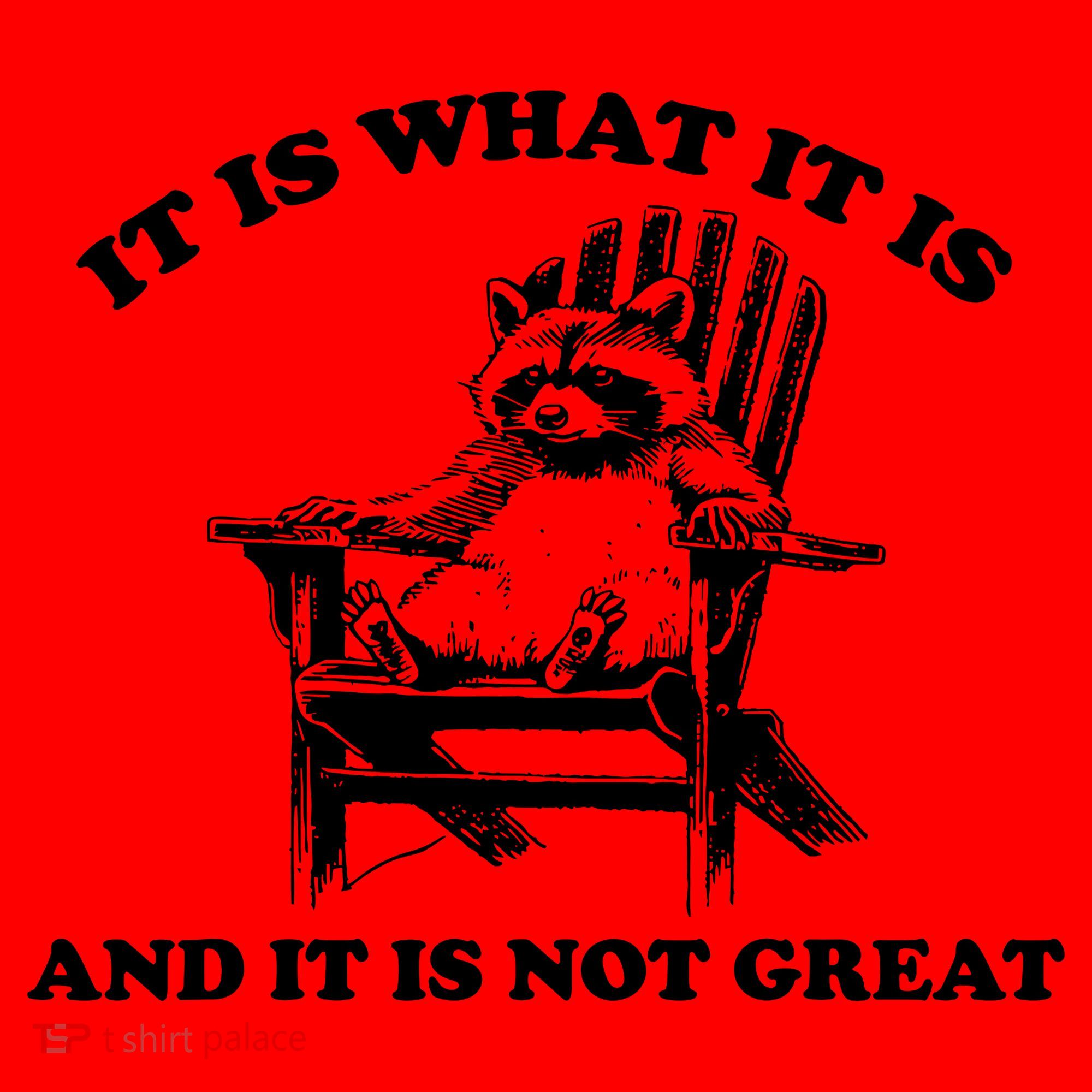 Raccoon It Is What It Is And It Is Not Great Santa Hat
