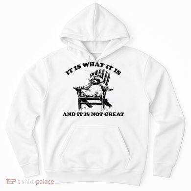 Raccoon It Is What It Is And It Is Not Great Hoodie
