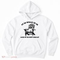 Raccoon It Is What It Is And It Is Not Great Hoodie thumb 0
