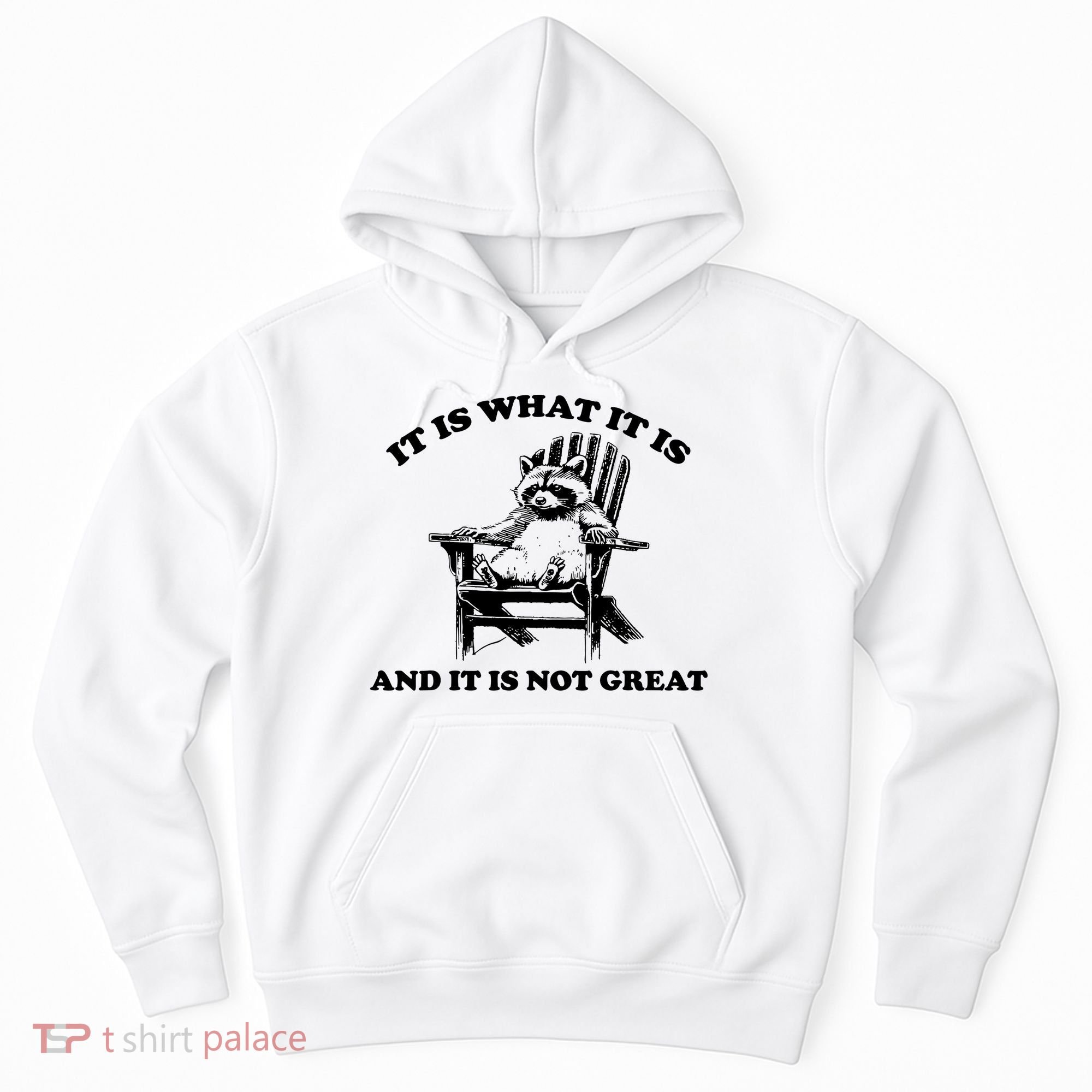 Raccoon It Is What It Is And It Is Not Great Hoodie