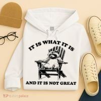 Raccoon It Is What It Is And It Is Not Great Hoodie thumb 4