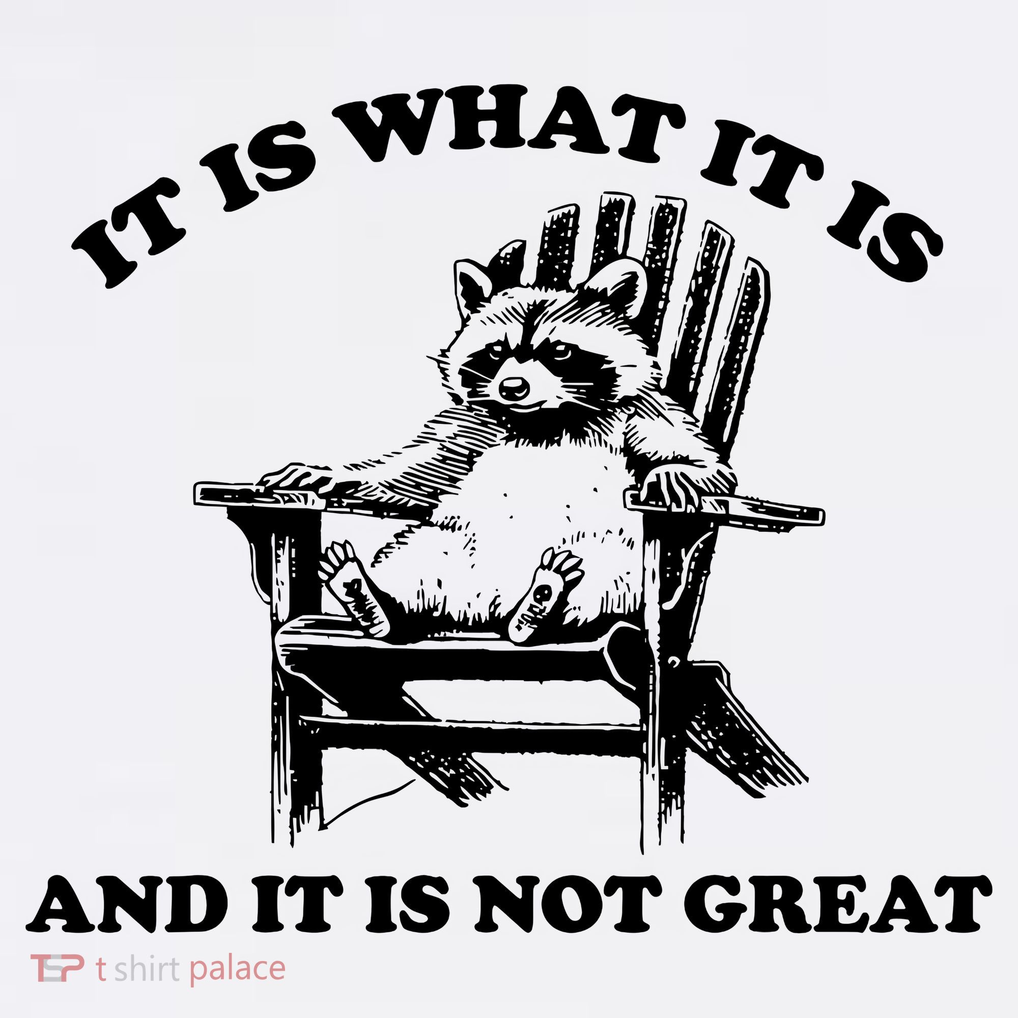 Raccoon It Is What It Is And It Is Not Great Long Sleeve Shirt