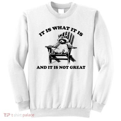 Raccoon It Is What It Is And It Is Not Great Sweatshirt