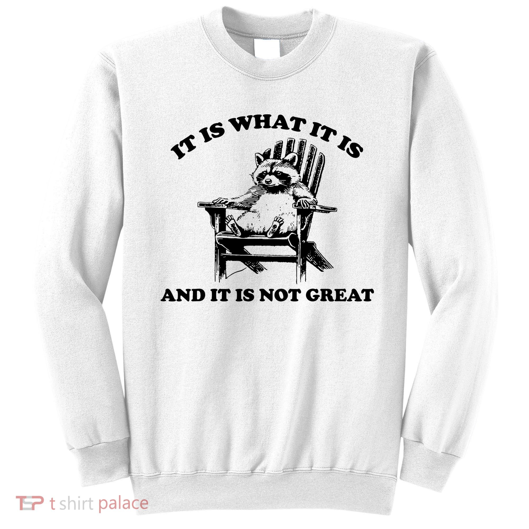 Raccoon It Is What It Is And It Is Not Great Sweatshirt