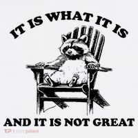 Raccoon It Is What It Is And It Is Not Great Sweatshirt thumb 3