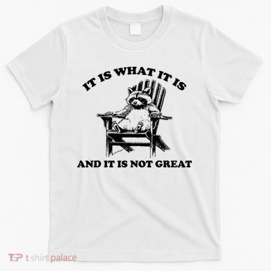 Raccoon It Is What It Is And It Is Not Great T-Shirt