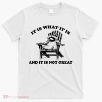 Raccoon It Is What It Is And It Is Not Great T-Shirt thumb 0