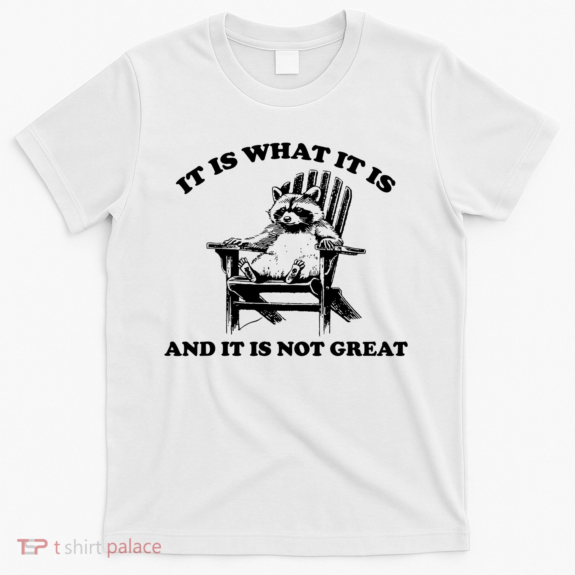 Raccoon It Is What It Is And It Is Not Great T-Shirt