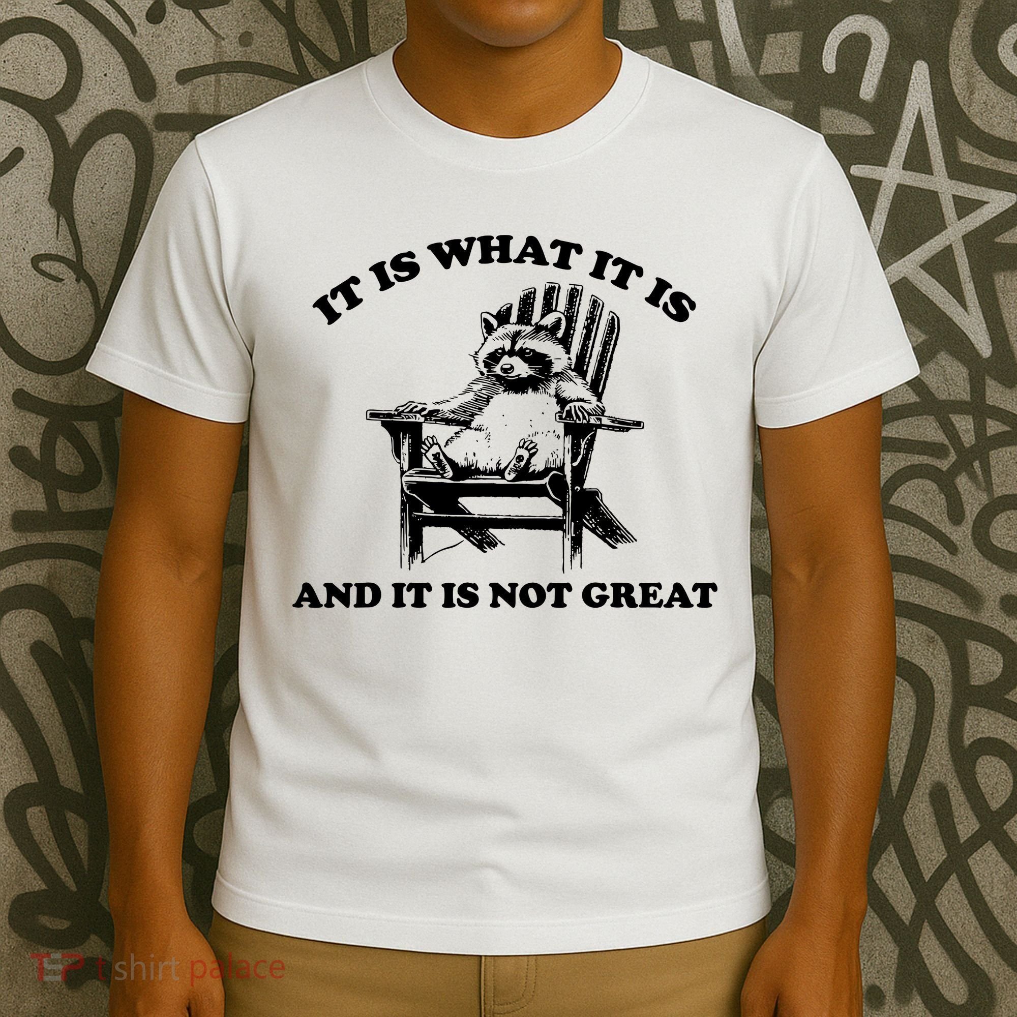 Raccoon It Is What It Is And It Is Not Great T-Shirt