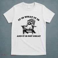 Raccoon It Is What It Is And It Is Not Great T-Shirt thumb 5