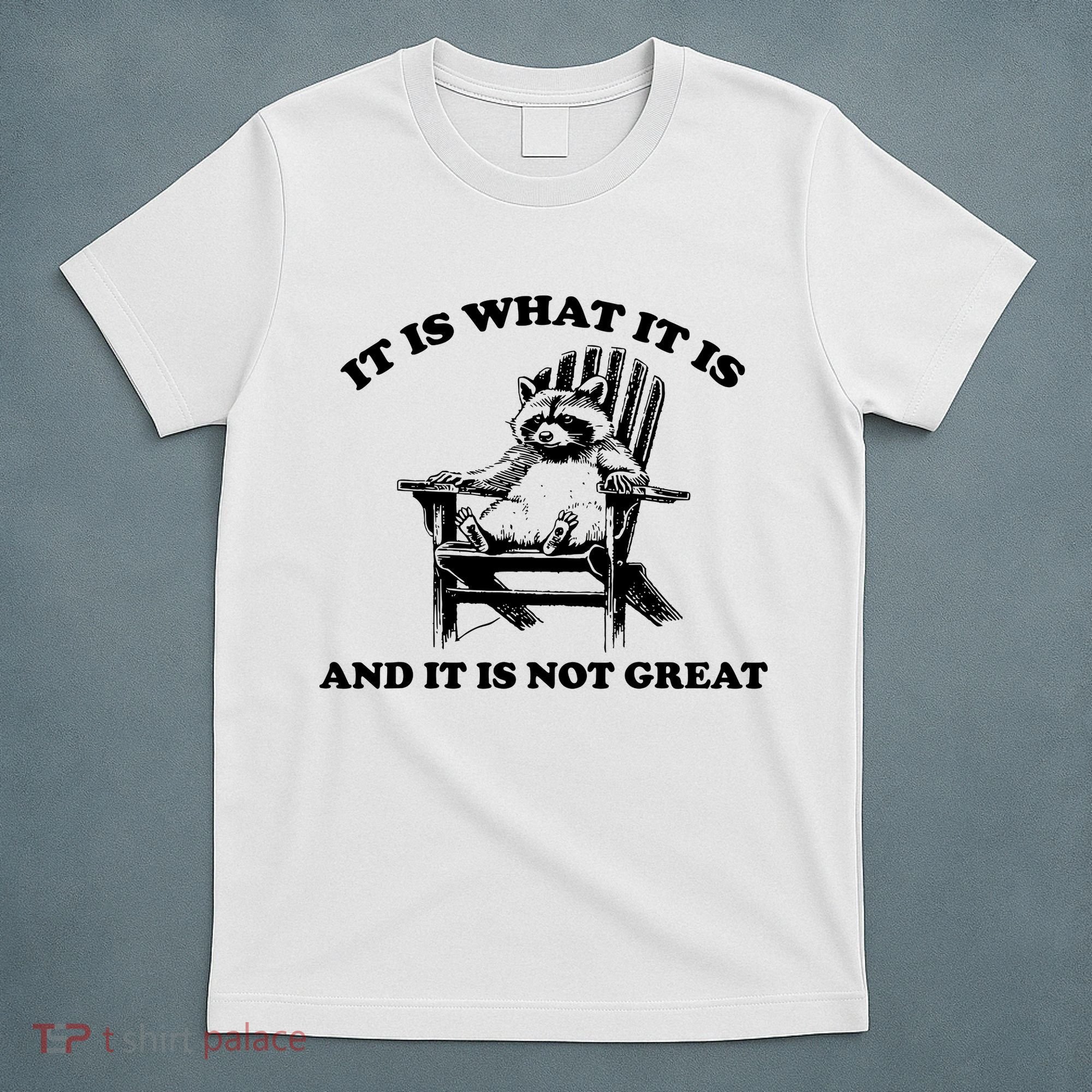 Raccoon It Is What It Is And It Is Not Great T-Shirt
