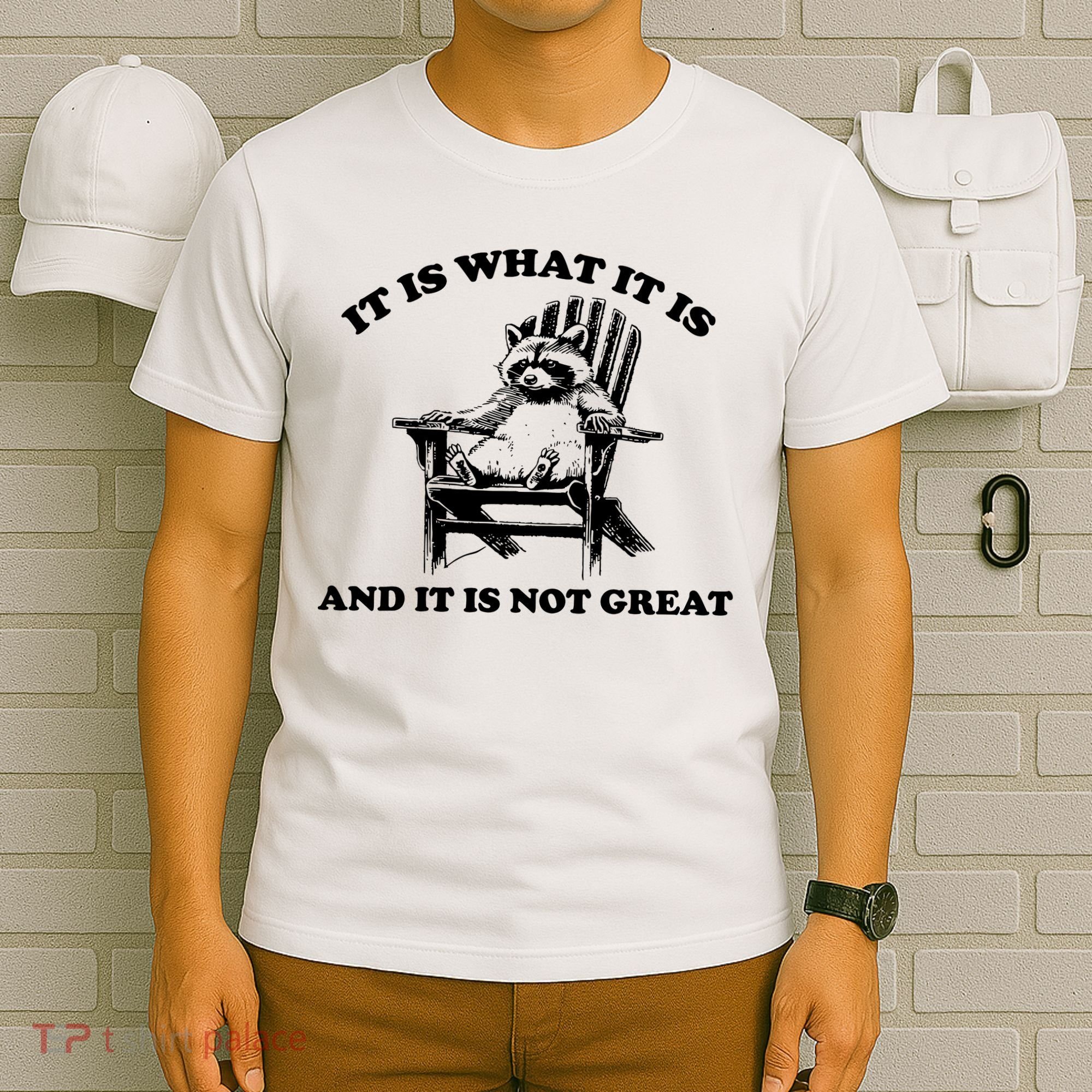 Raccoon It Is What It Is And It Is Not Great T-Shirt