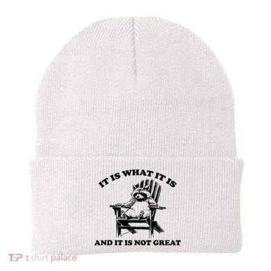 Raccoon It Is What It Is And It Is Not Great Beanie
