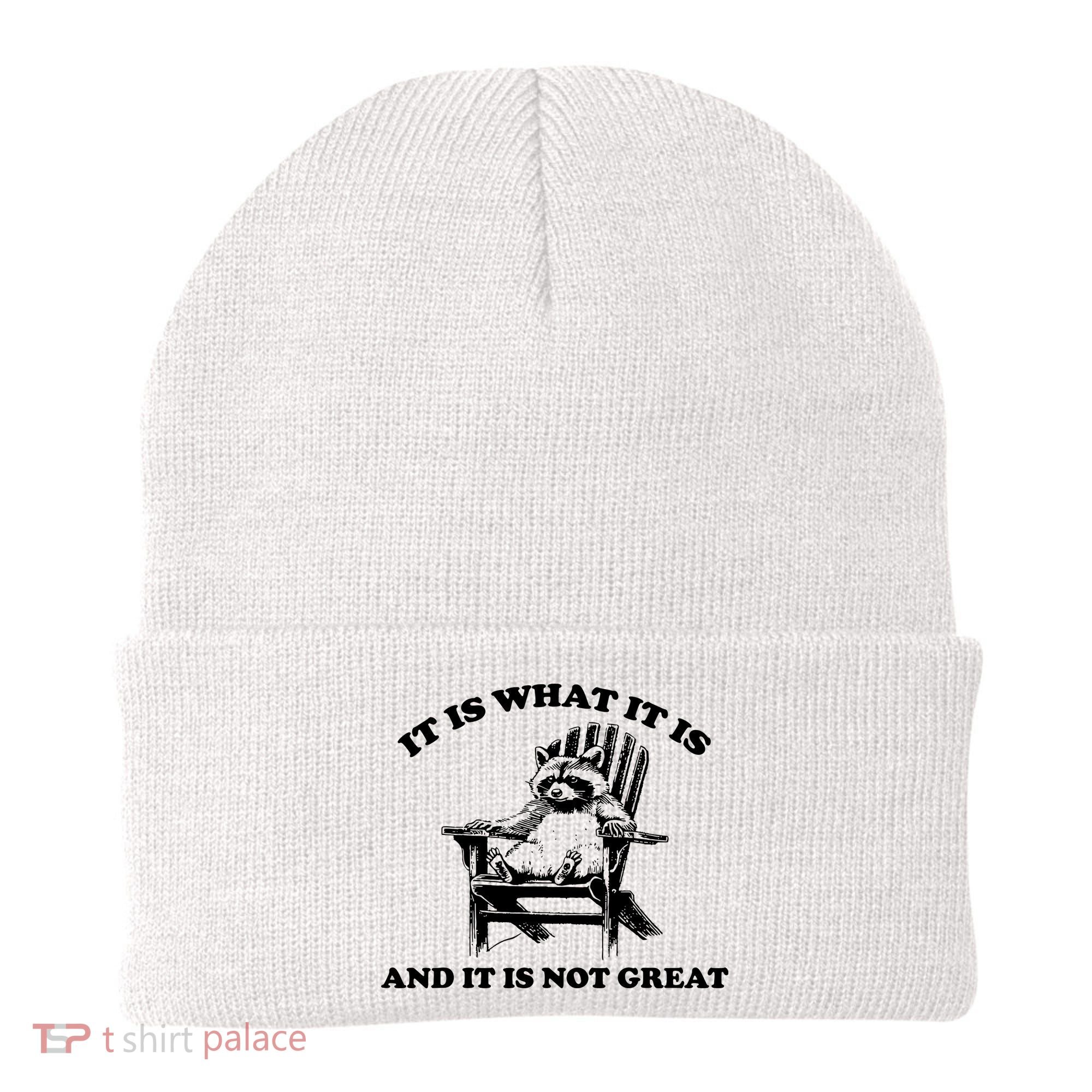 Raccoon It Is What It Is And It Is Not Great Beanie