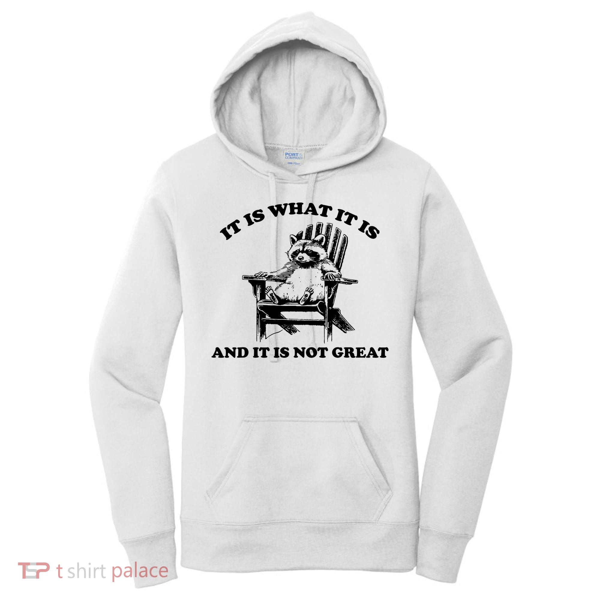 Raccoon It Is What It Is And It Is Not Great Women's Hoodie