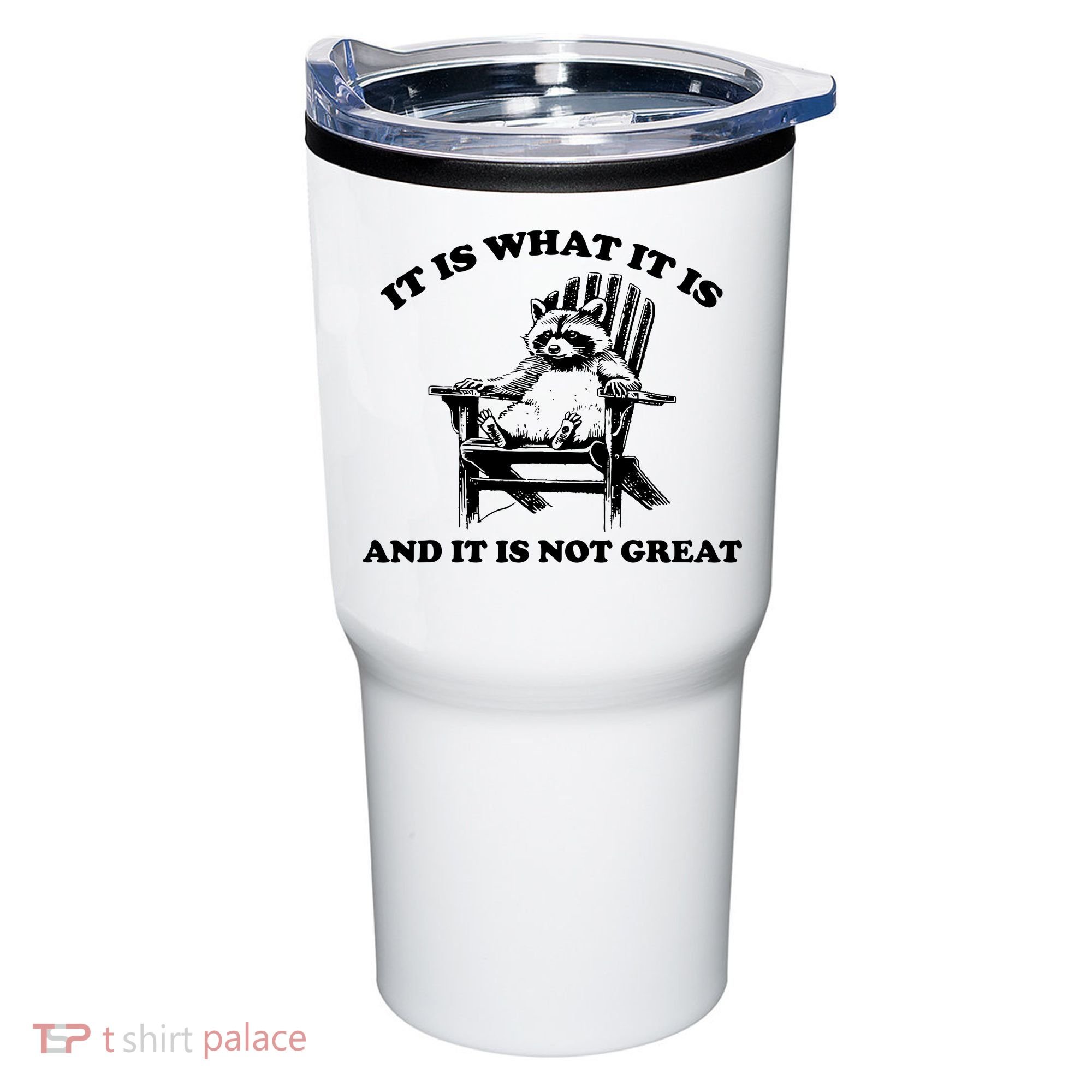 Raccoon It Is What It Is And It Is Not Great Tumbler