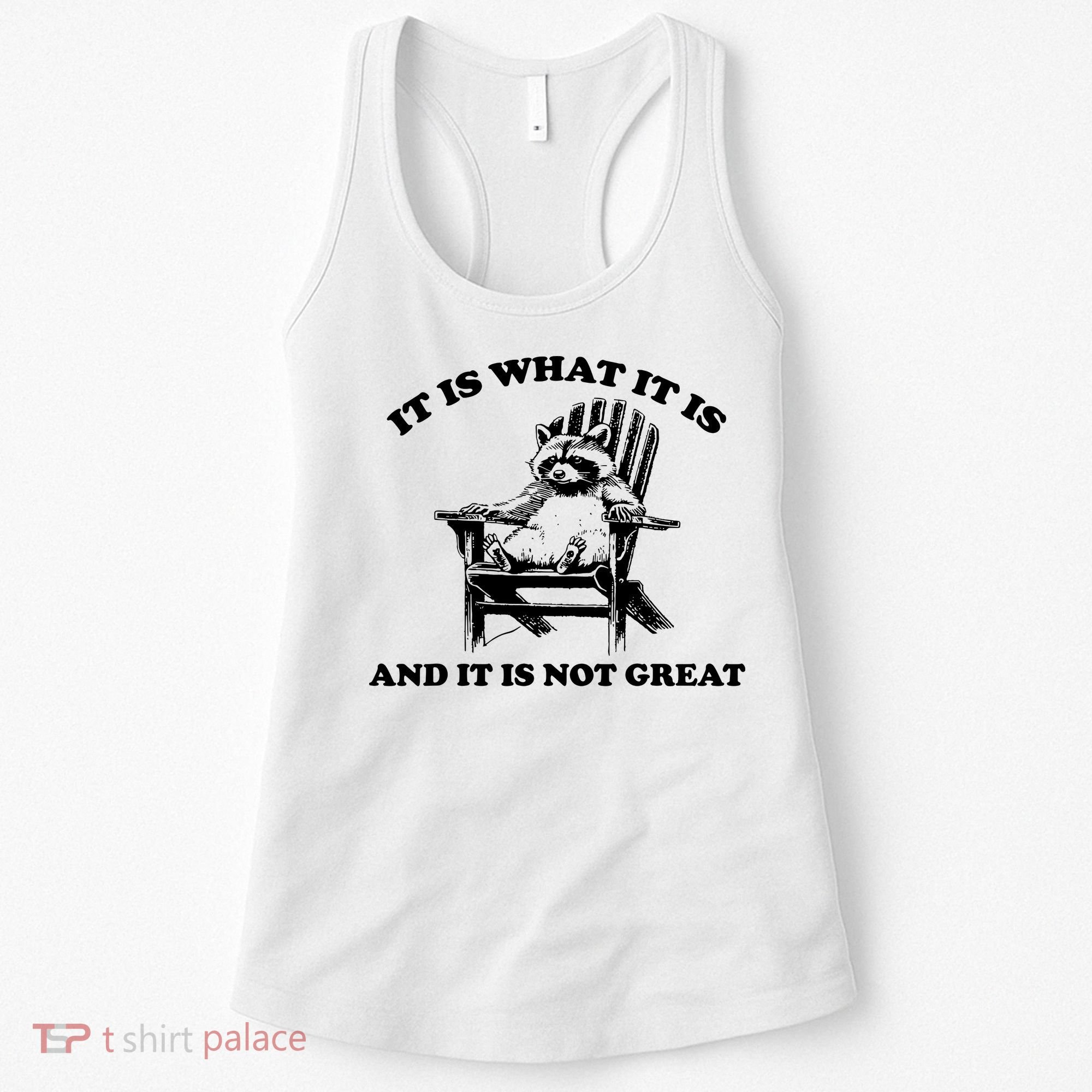 Raccoon It Is What It Is And It Is Not Great Women's Tank Top