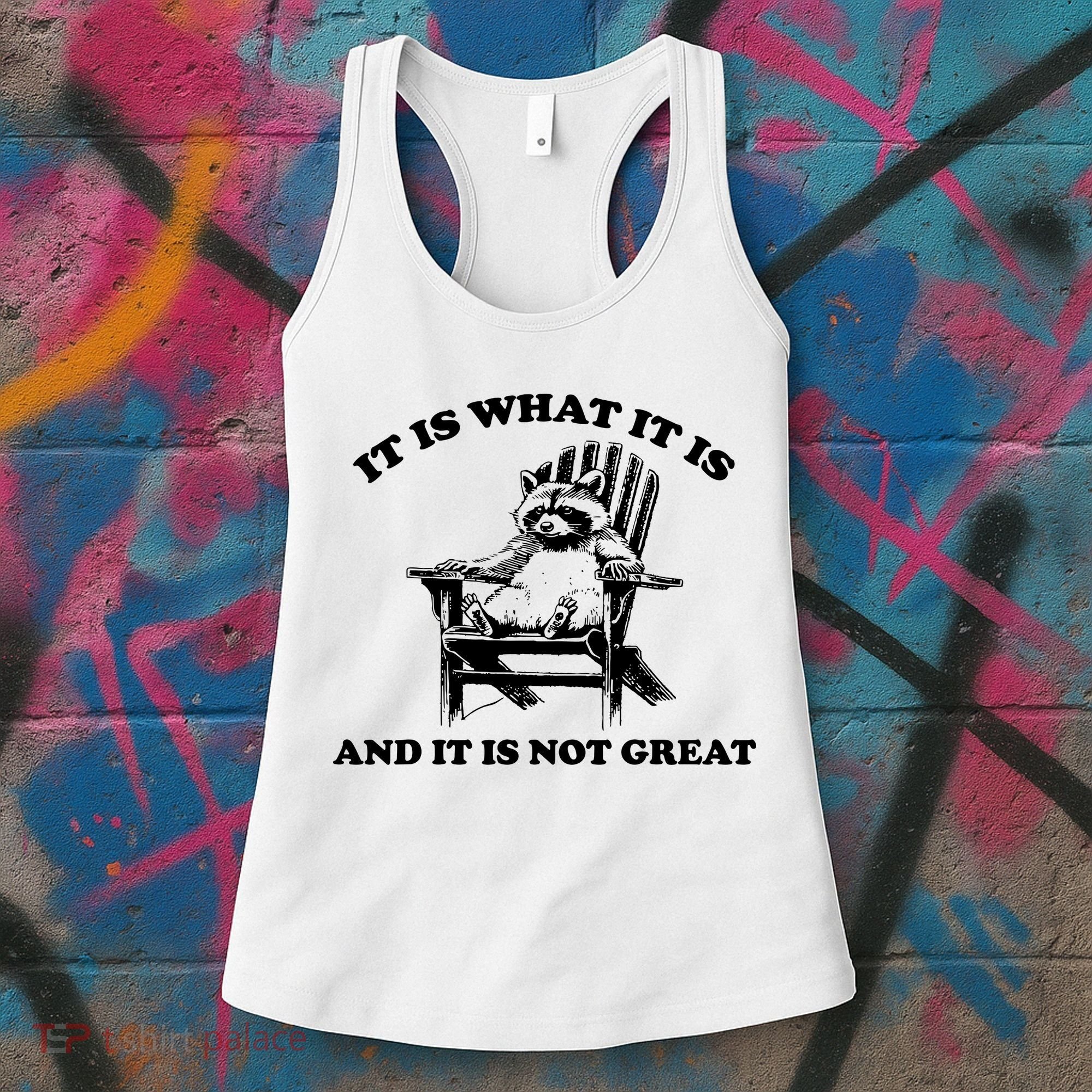 Raccoon It Is What It Is And It Is Not Great Women's Tank Top