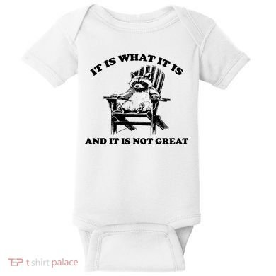 Raccoon It Is What It Is And It Is Not Great Baby Bodysuit