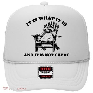Raccoon It Is What It Is And It Is Not Great Hat