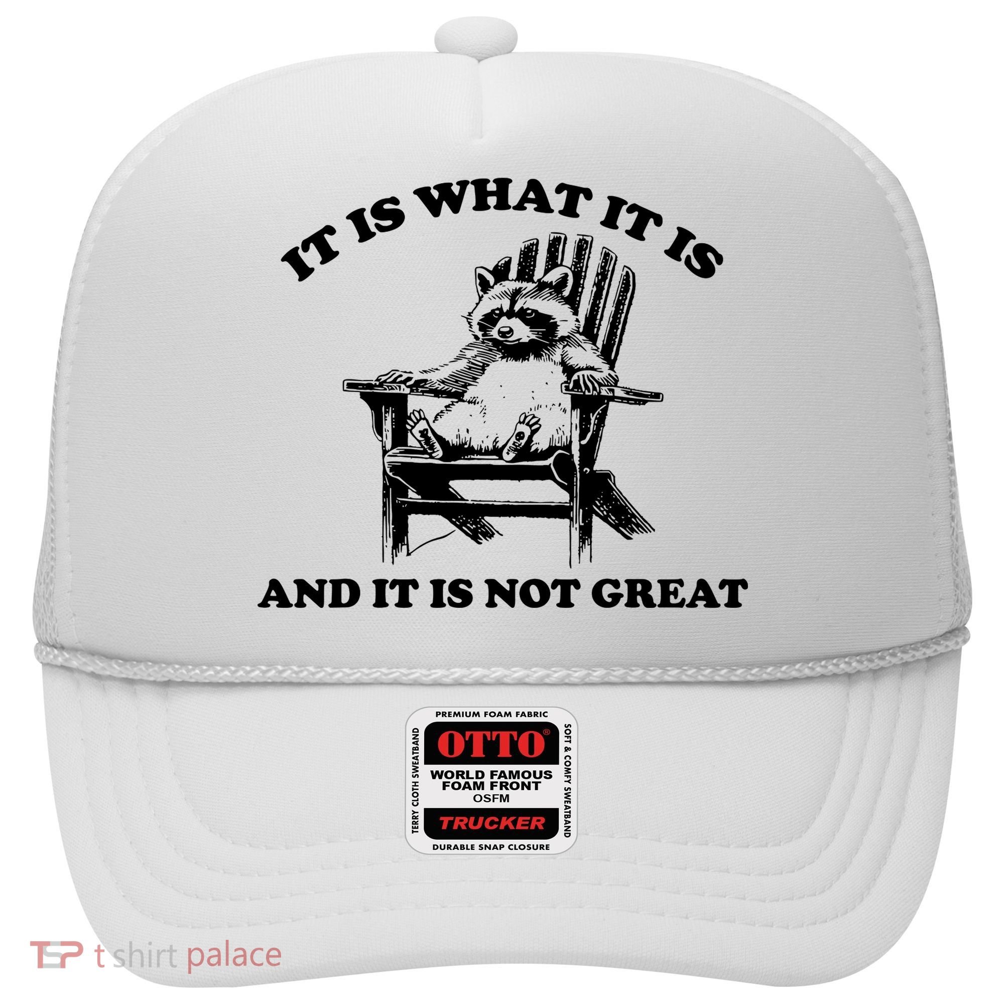 Raccoon It Is What It Is And It Is Not Great Hat