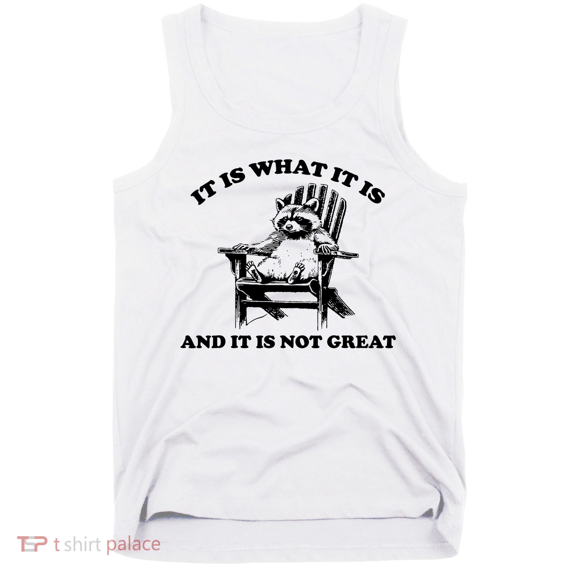 Raccoon It Is What It Is And It Is Not Great Tank Top