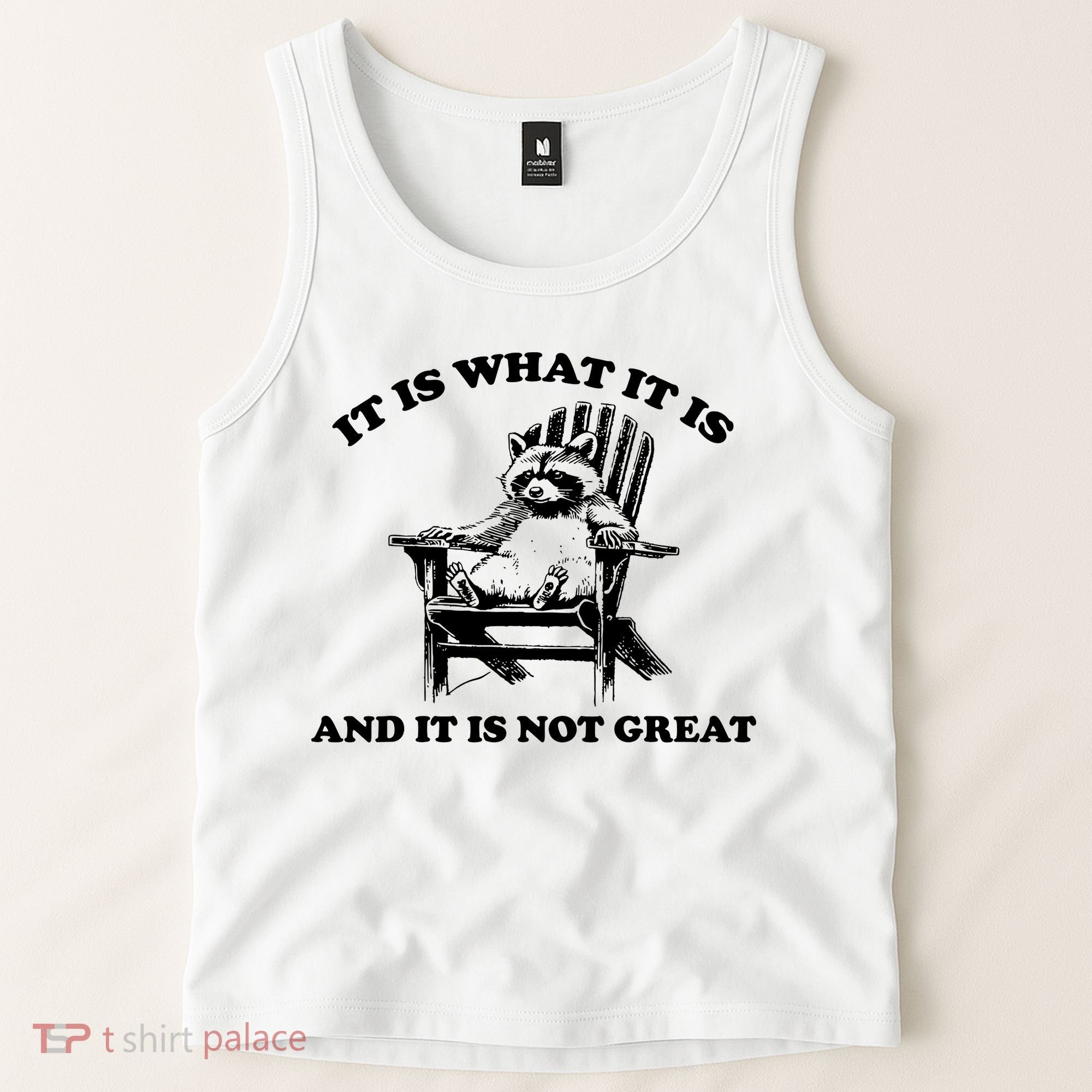 Raccoon It Is What It Is And It Is Not Great Tank Top