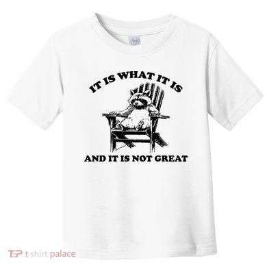 Raccoon It Is What It Is And It Is Not Great Toddler T-Shirt