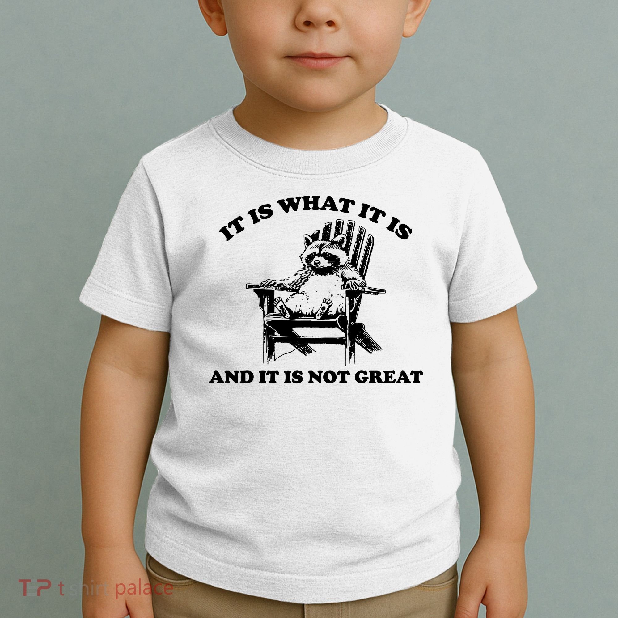 Raccoon It Is What It Is And It Is Not Great Toddler T-Shirt