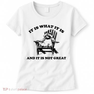 Raccoon It Is What It Is And It Is Not Great Women's T-Shirt