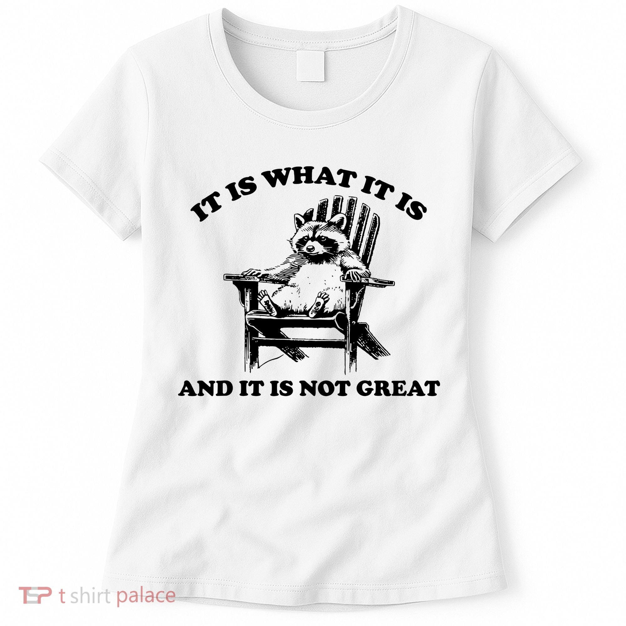 Raccoon It Is What It Is And It Is Not Great Women's T-Shirt