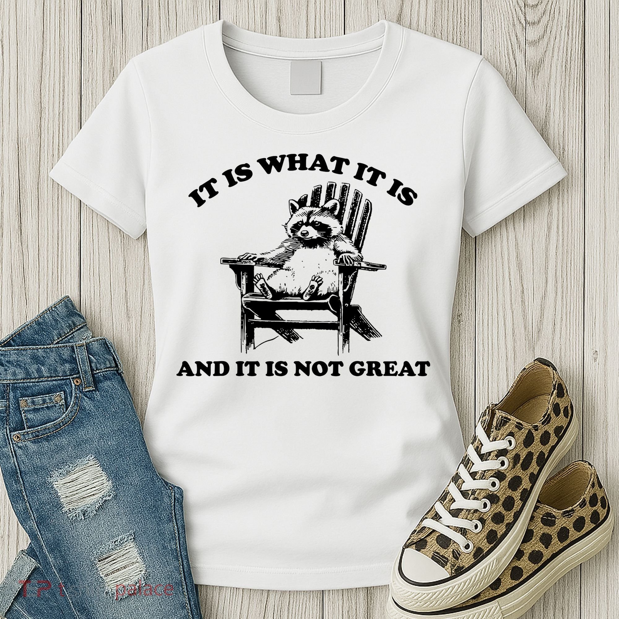Raccoon It Is What It Is And It Is Not Great Women's T-Shirt