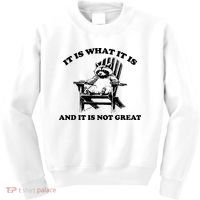 Raccoon It Is What It Is And It Is Not Great Kids Sweatshirt thumb 0