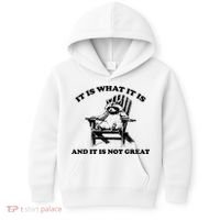 Raccoon It Is What It Is And It Is Not Great Kids Hoodie thumb 0