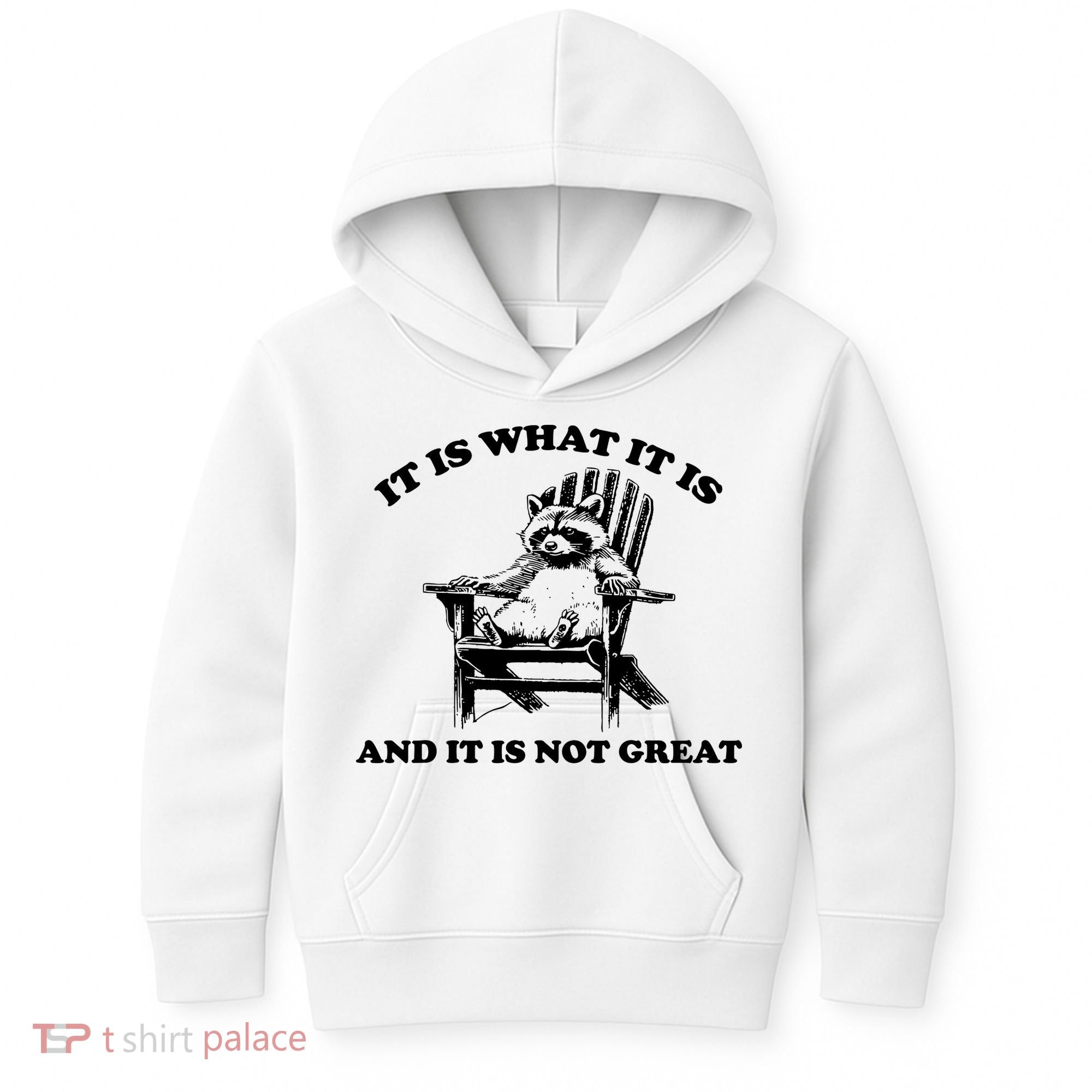 Raccoon It Is What It Is And It Is Not Great Kids Hoodie