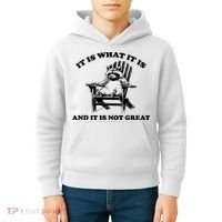 Raccoon It Is What It Is And It Is Not Great Kids Hoodie thumb 4