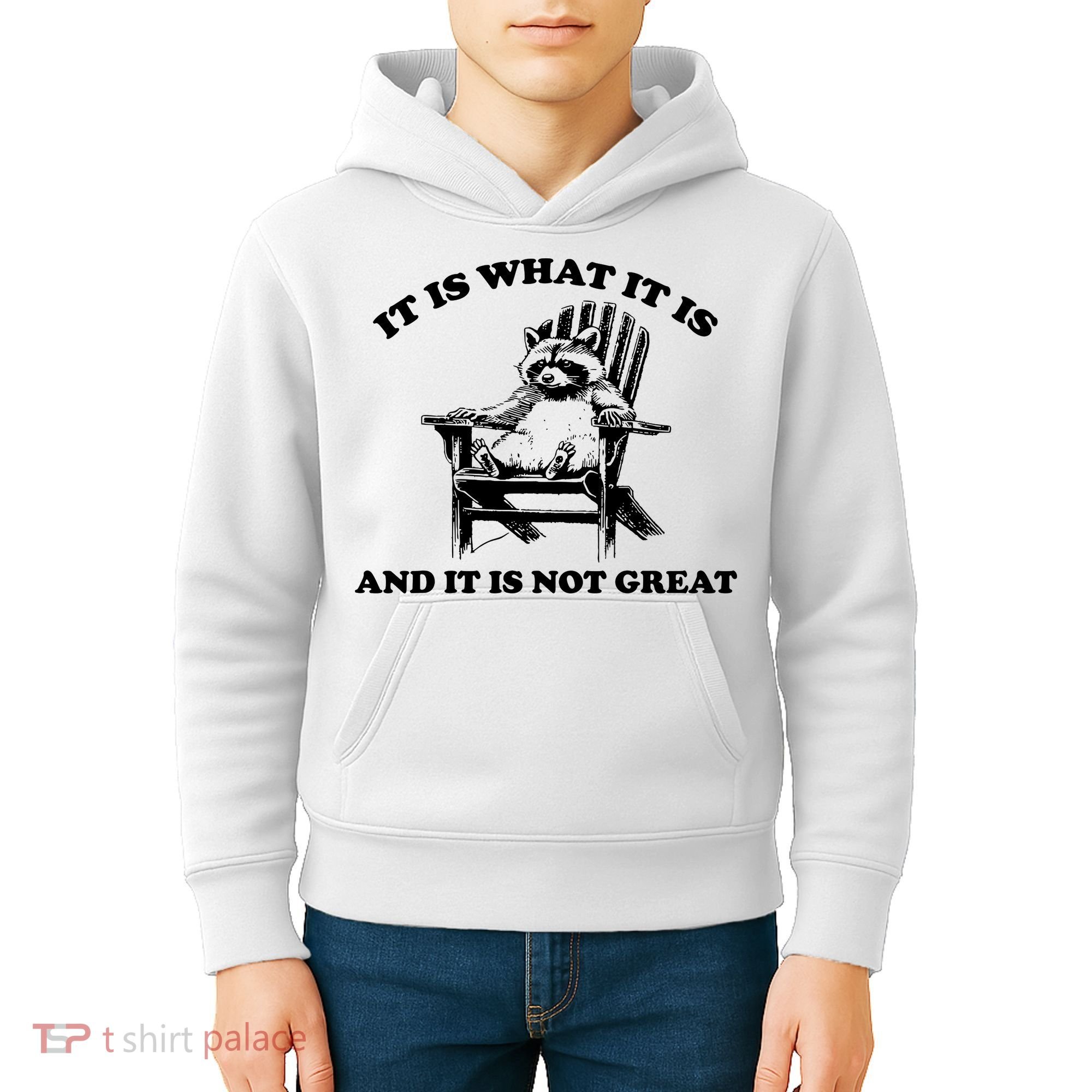 Raccoon It Is What It Is And It Is Not Great Kids Hoodie