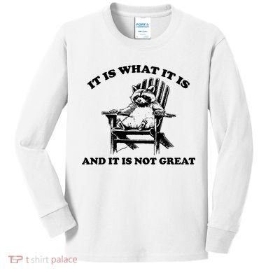 Raccoon It Is What It Is And It Is Not Great Kids Long Sleeve Shirt