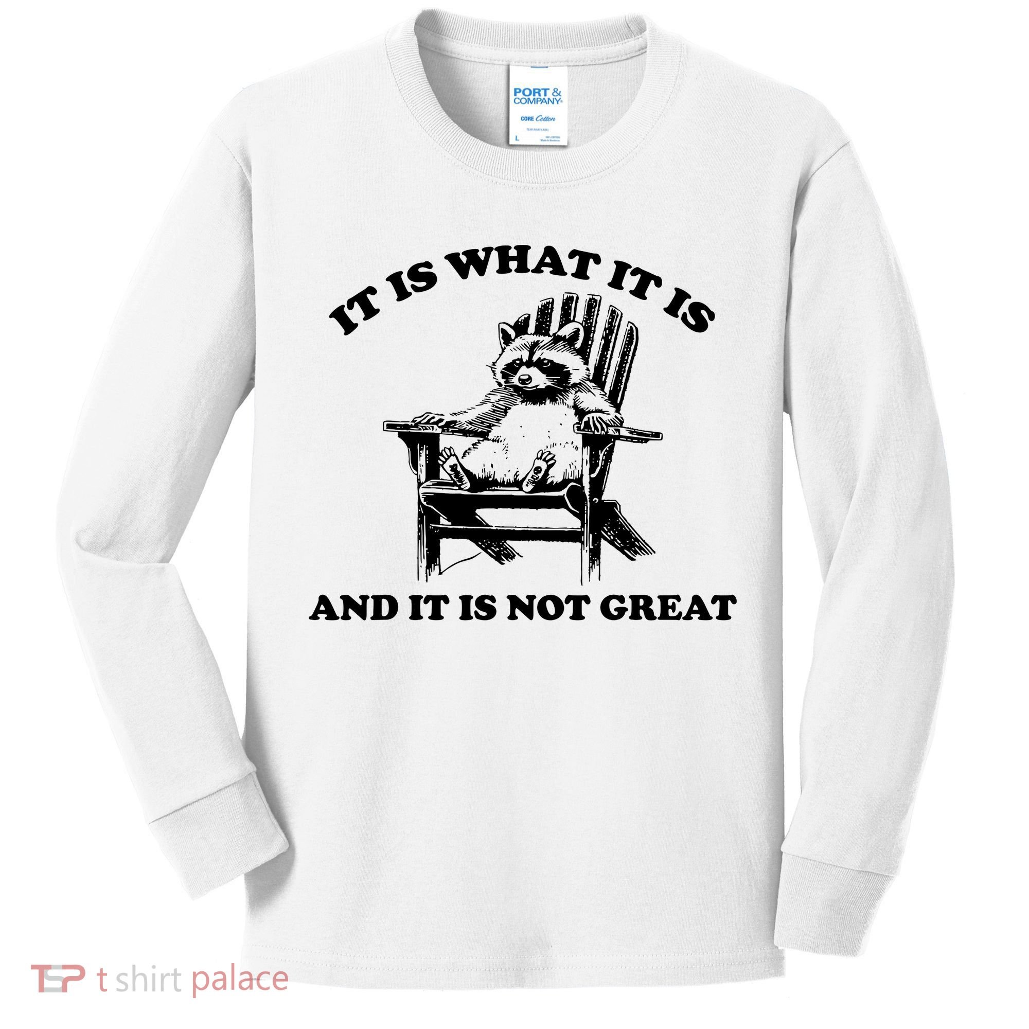 Raccoon It Is What It Is And It Is Not Great Kids Long Sleeve Shirt