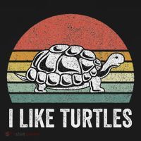 Retro I Like Turtles Turtle Turtle Lover Gifts Vintage T-Shirt thumb 7