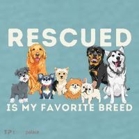 Rescued Is My Favorite Breed Animal Rescue Sueded Cloud Jersey T-Shirt thumb 2