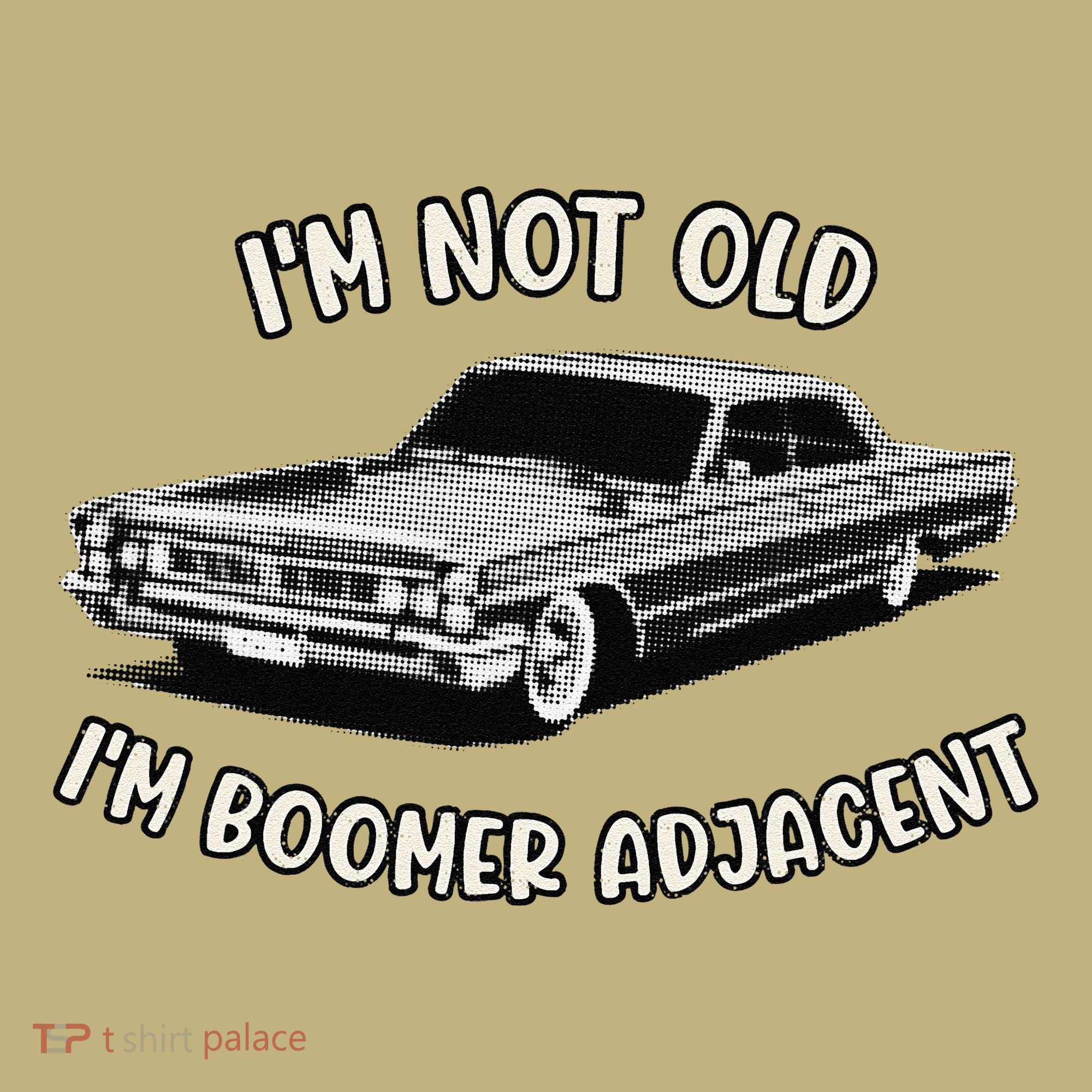 Retro IM Not Old IM Boomer Adjacent Classic Generation X Hoodie