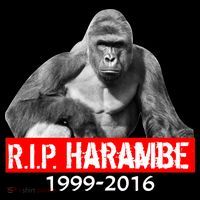 RIP Harambe Gorilla Cincinnati Zoo Hoodie thumb 7