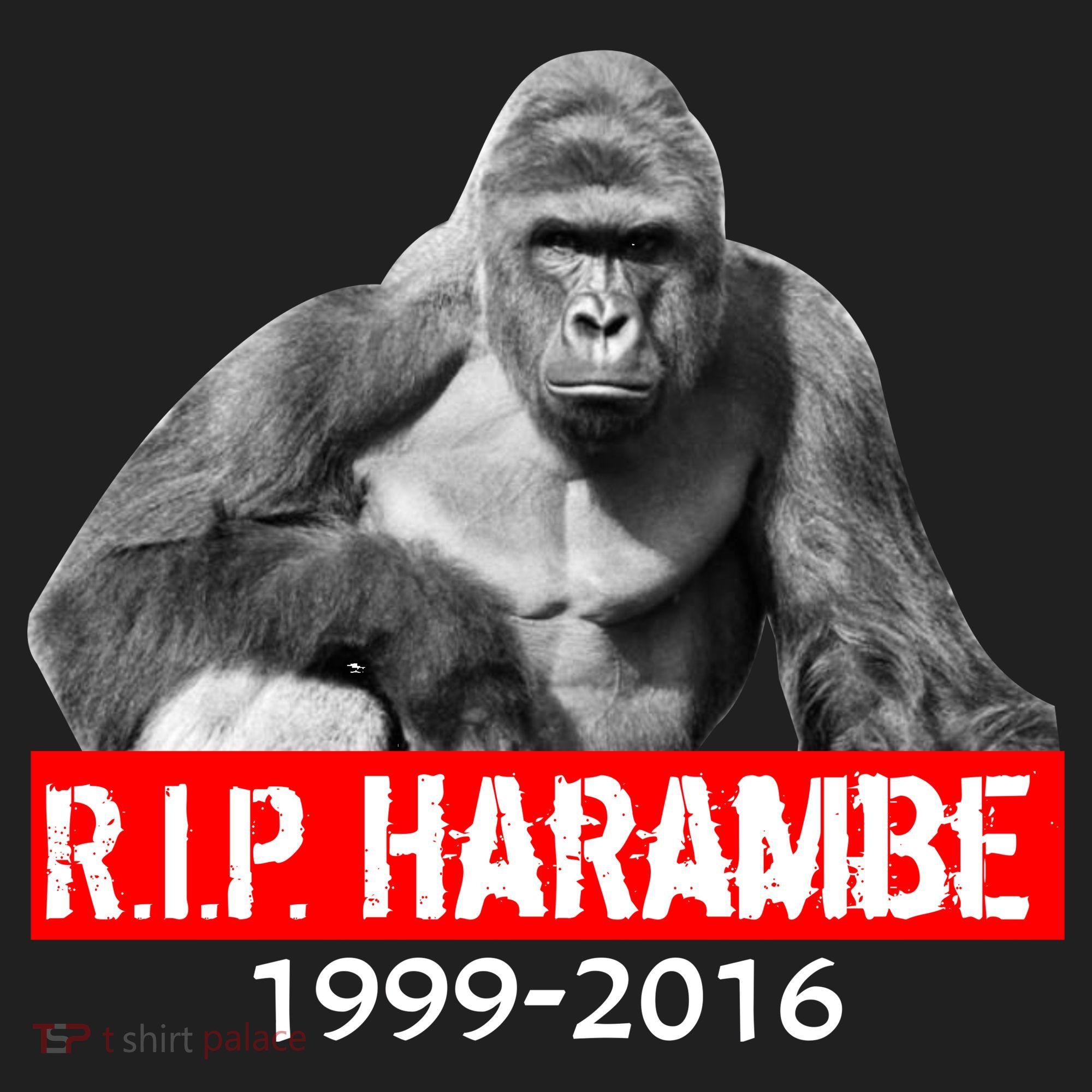 RIP Harambe Gorilla Cincinnati Zoo Beanie