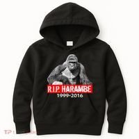 RIP Harambe Gorilla Cincinnati Zoo Kids Hoodie thumb 0