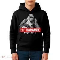 RIP Harambe Gorilla Cincinnati Zoo Kids Hoodie thumb 4