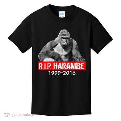 RIP Harambe Gorilla Cincinnati Zoo Kids T-Shirt